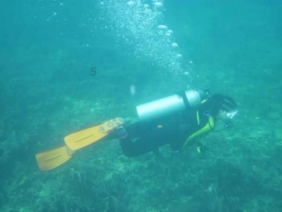 受困的忍者