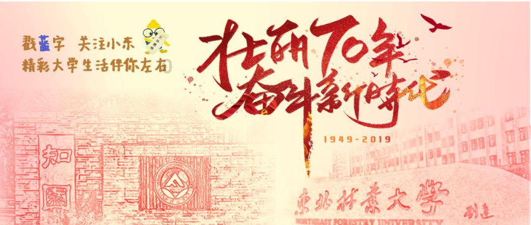寻找迷路的松鼠